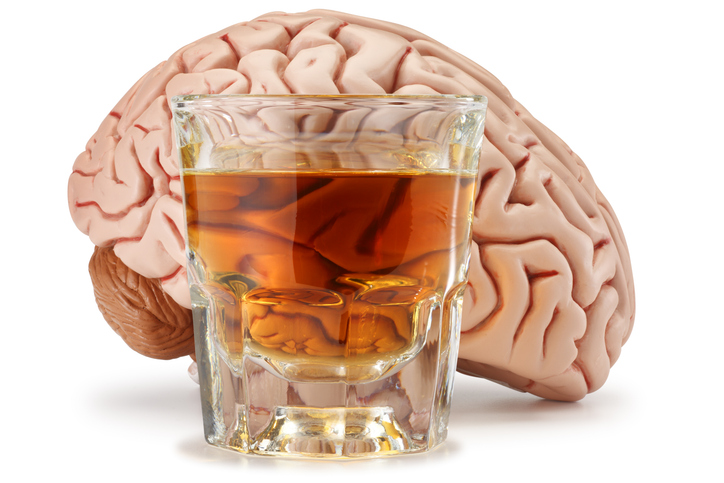 How Alcohol Affects the Brain: Long-Term Damage and Symptoms