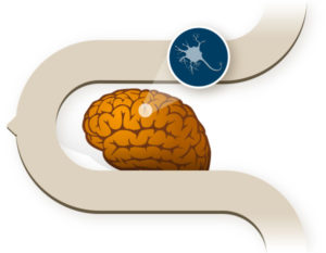 illustration of brain - NEUROCHEMICAL THERAPY