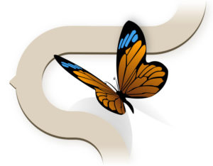 illustration - blue, orange, and black butterfly - CHANGE YOUR THINKING