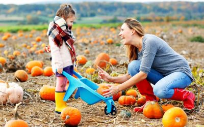 Substance-Free Ideas: Fall Festivities for Family-Friendly Fun