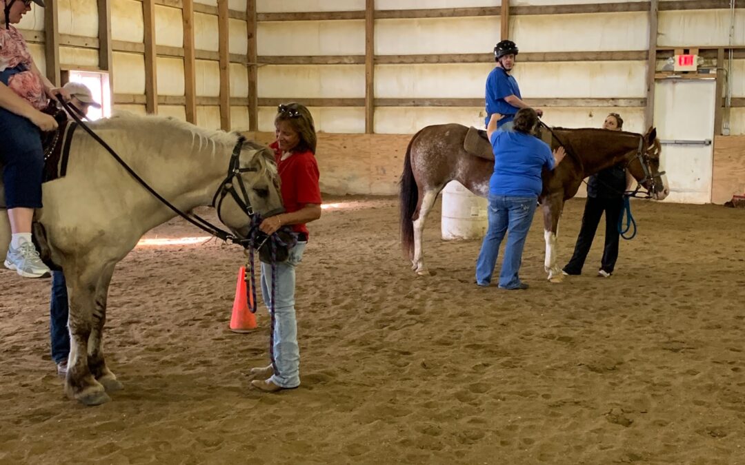 Equine therapy Pic